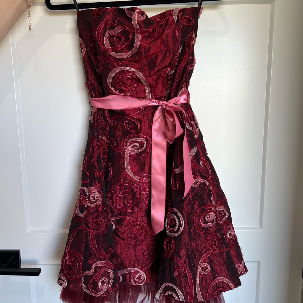 Elegant Jessica Mcclintock Dress With Pink Accents Brand New Never Worn